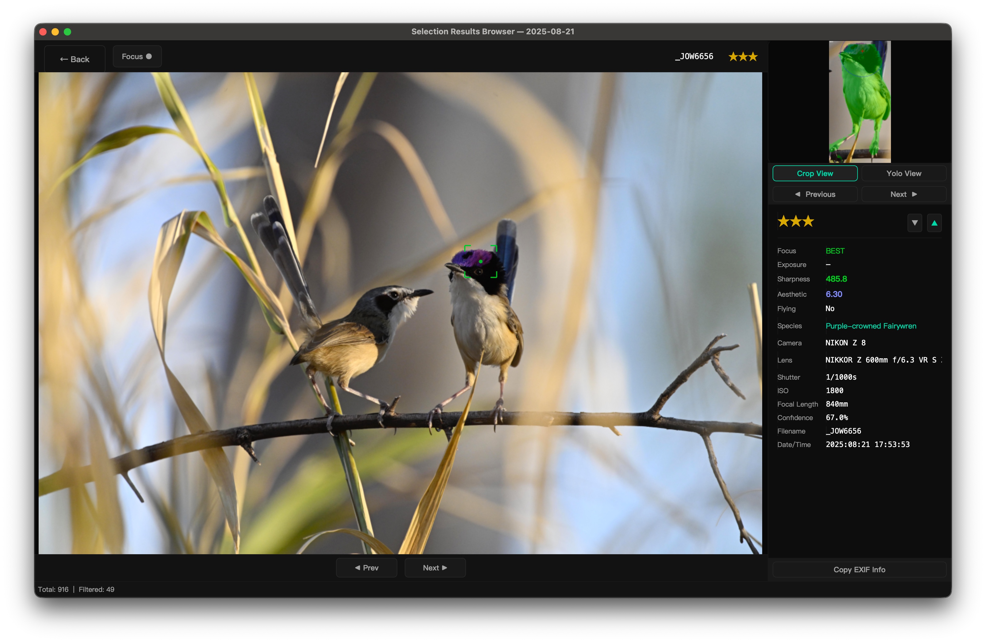 Fullscreen Viewer